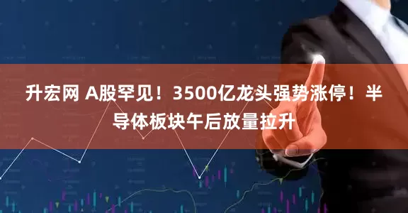 升宏网 A股罕见！3500亿龙头强势涨停！半导体板块午后放量拉升