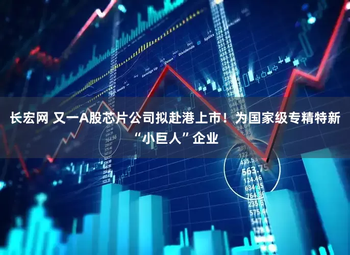 长宏网 又一A股芯片公司拟赴港上市！为国家级专精特新“小巨人”企业
