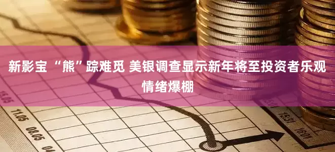 新影宝 “熊”踪难觅 美银调查显示新年将至投资者乐观情绪爆棚